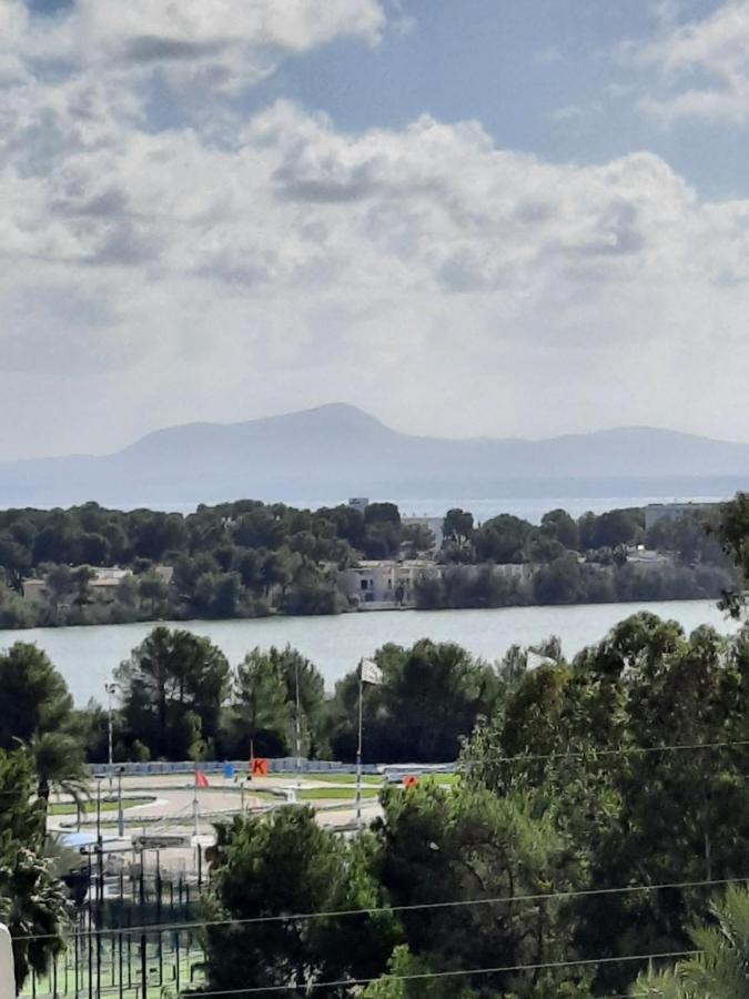 Cozy Estudio "Edificio Siesta 2" Daire Alcudia  Dış mekan fotoğraf