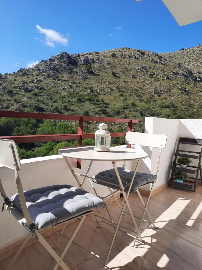 Cozy Estudio "Edificio Siesta 2" Daire Alcudia  Dış mekan fotoğraf
